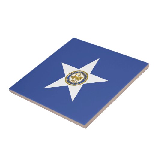 Vlag van Houston (Texas) Tegeltje (Zijkant)