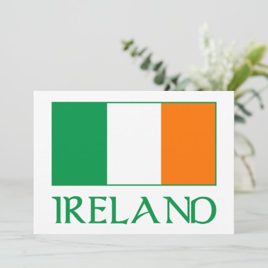 Vlag van Ierland (Staand voorkant)
