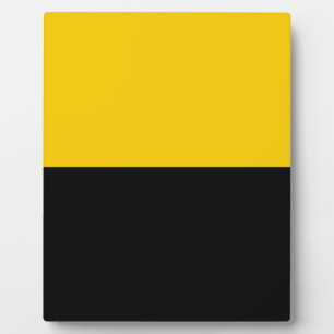 Vlag van IJsselstein Fotoplaat