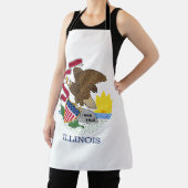 Vlag van Illinois Schort (Insitu)