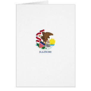 Vlag van Illinois State Design