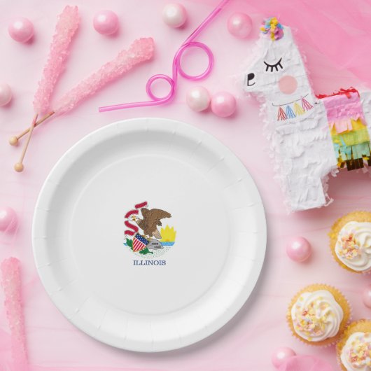 Vlag van Illinois State Design Papieren Bordje (Feest)