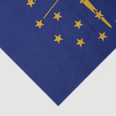 Vlag van Indiana Tissuepapier (Detail)
