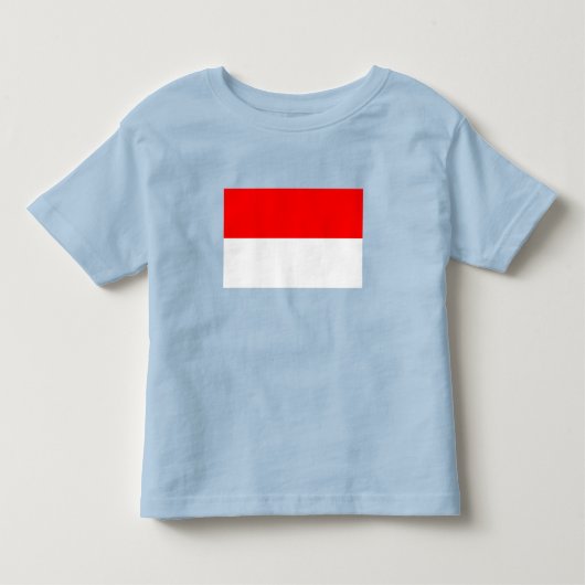 Vlag van Indonesië Kinder Shirts (Voorkant)