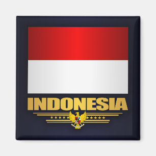 vlag van Indonesië Magneet