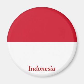 vlag van Indonesië Magneet