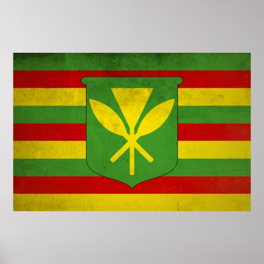 Vlag van inheemse Hawaiianen Poster (Voorkant)
