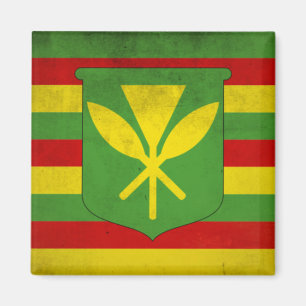 Vlag van inheemse Hawaiians Magneet
