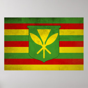 Vlag van inheemse Hawaiians Poster