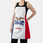 Vlag van Iowa Schort (Insitu)