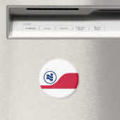 Vlag van Irving, Texas Magneet (Insitu (Vaatwasser))