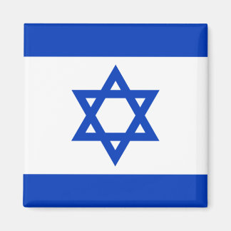 Vlag van Israël Magneet
