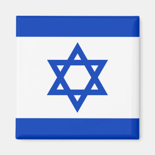 Vlag van Israël Magneet