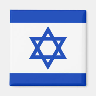 Vlag van Israël Magneet