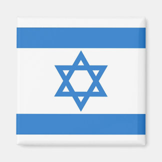 Vlag van Israël Magneet