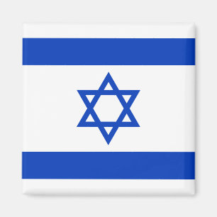 Vlag van Israël Magneet