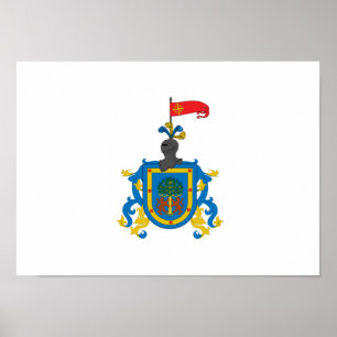 Vlag van Jalisco (heraldry) Poster