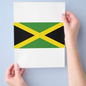 Vlag van Jamaica Flyer (Hand)