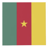 Vlag van Kameroen Kubus (Rechts)