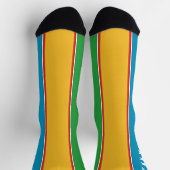 Vlag van Karakalpakstan Sokken (Top)