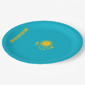 Vlag van Kazachstan Papieren Bordje (Gekanteld)