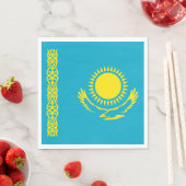 Vlag van Kazachstan Servet (Insitu)