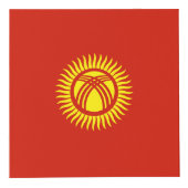 Vlag van Kirgizië Kubus (Rechts)