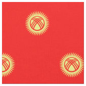 Vlag van Kirgizië Stof (Close Up)