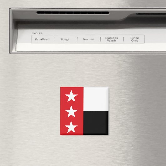 Vlag van Laredo (Texas) Magneet (Insitu (Vaatwasser))