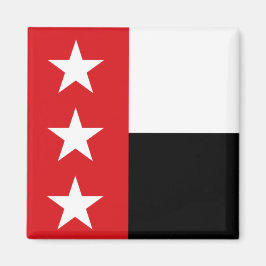 Vlag van Laredo (Texas) Magneet