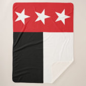 Vlag van Laredo (Texas) Sherpa Deken (Voorkant)