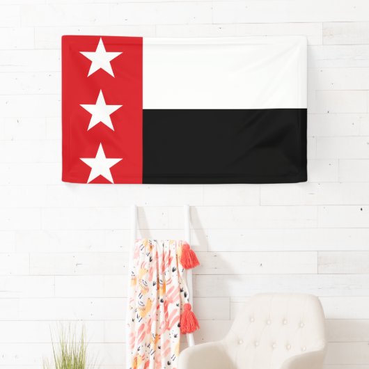 Vlag van Laredo (Texas) Spandoek (Insitu)