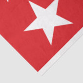 Vlag van Laredo (Texas) Tissuepapier (Detail)