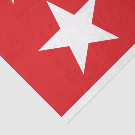 Vlag van Laredo (Texas) Tissuepapier (Detail)