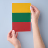 Vlag van Litouwen Flyer (Hand)
