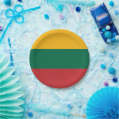 Vlag van Litouwen Papieren Bordje (Feest)