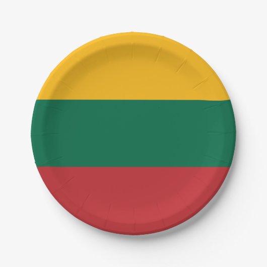 Vlag van Litouwen Papieren Bordje (Voorkant)