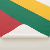 Vlag van Litouwen Sherpa Deken (3/4)