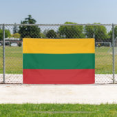 Vlag van Litouwen Spandoek (Insitu)