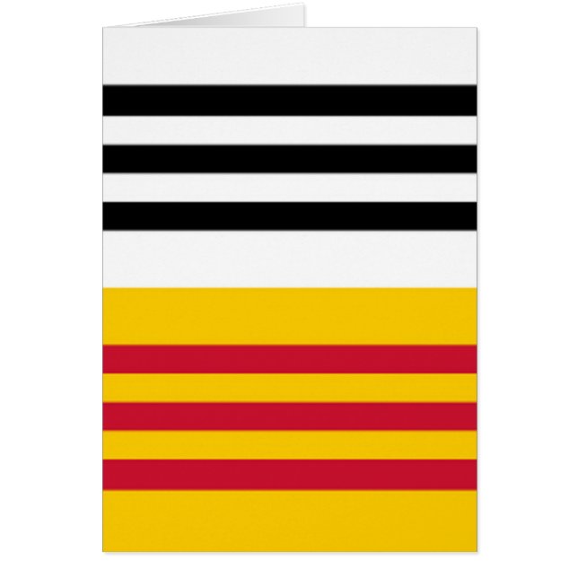 Vlag van Loon op Zand (Voorkant)