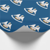 Vlag van Louisiana Cadeaupapier (Hoek)