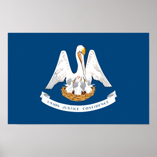 Vlag van Louisiana Poster (Voorkant)