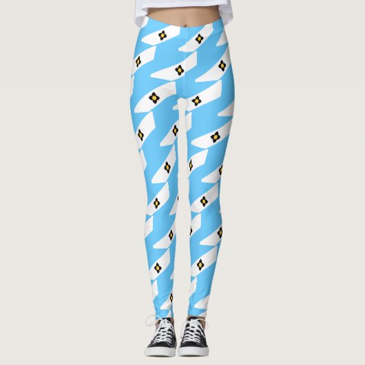 Vlag van Madison, Leggings van Wisconsin (Voorkant)