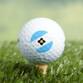 Vlag van Madison, Wisconsin Golf Balls Golfballen (Insitu Shirt)