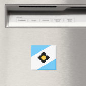 Vlag van Madison, Wisconsin Magneet (Insitu (Vaatwasser))