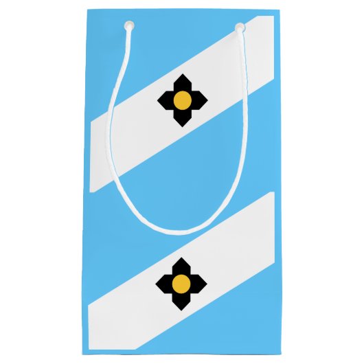 Vlag van Madison, Wisconsin Small Gift Bag Klein Cadeauzakje (Voorkant)