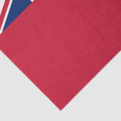 Vlag van Manitoba Tissuepapier (Detail)