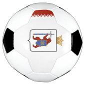 Vlag van Mari El Voetbal (Gedraaid)