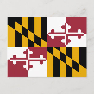 Vlag van Maryland Briefkaart