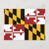 Vlag van Maryland, VS Briefkaart (Voorkant)